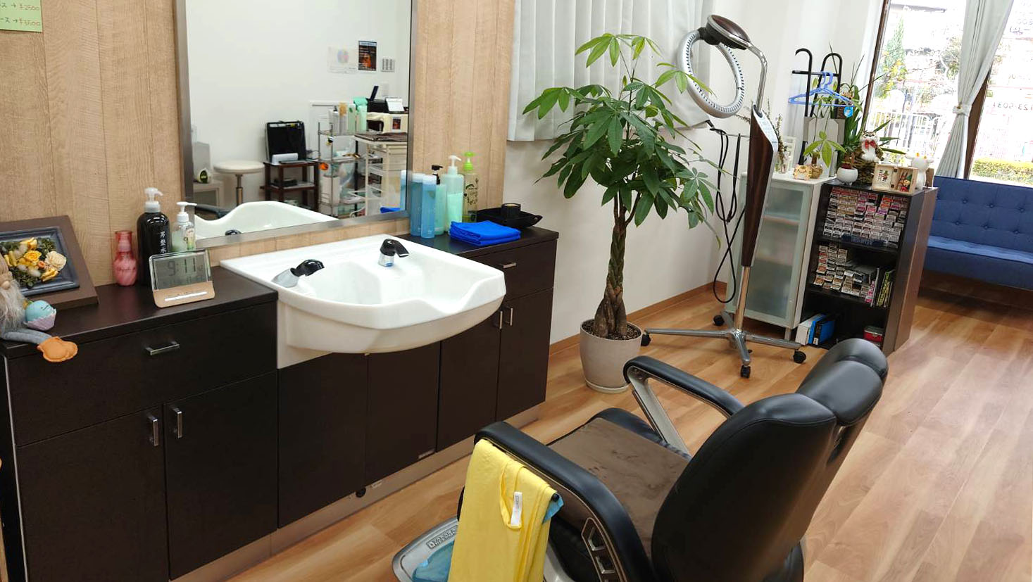 シュシュの画像